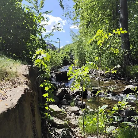 Apartz - - Mit Sauna In Idealer Lage Mit Bergblick *