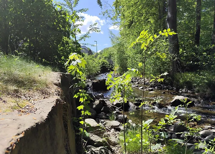 Apartz - - Mit Sauna In Idealer Lage Mit Bergblick *